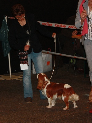 Of lovely valley - EXPOSITION DE ROUEN 3/12/12