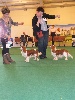  - Suite nationale d'élevage 2012